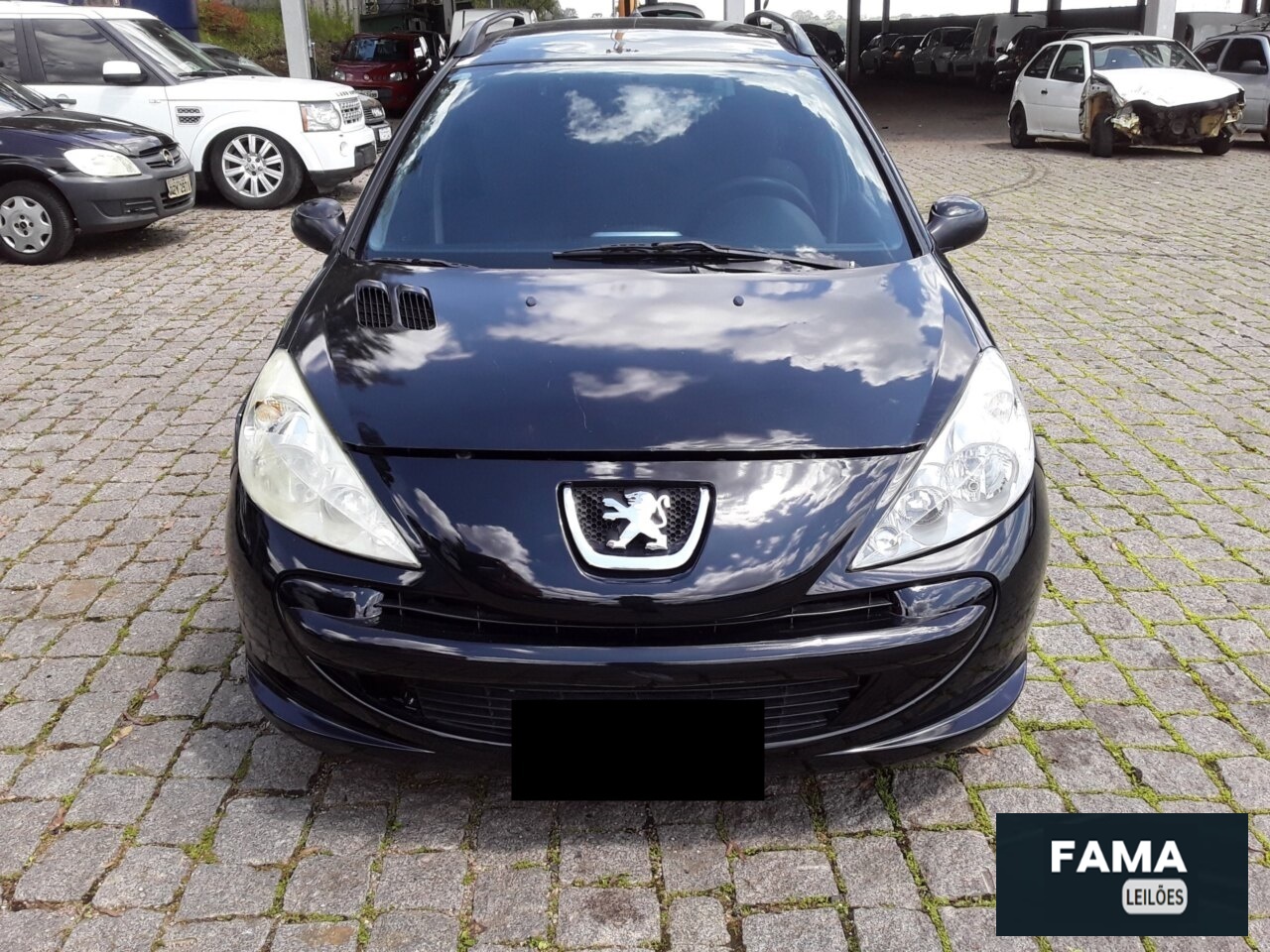 PEUGEOT 207 SW XR S 2011